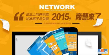 网络营销的演进与模式 以维极科技为例